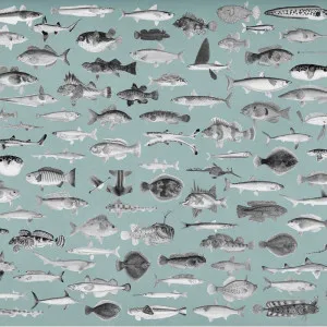 Off The Hook Wallpaper by Florabelle Living, a Wallpaper for sale on Style Sourcebook