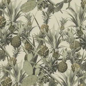 Pineapple Cactus Wallpaper by Florabelle Living, a Wallpaper for sale on Style Sourcebook