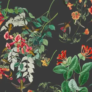 Pollen Power Wallpaper by Florabelle Living, a Wallpaper for sale on Style Sourcebook