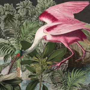 Roseate Spoonbill Wallpaper by Florabelle Living, a Wallpaper for sale on Style Sourcebook