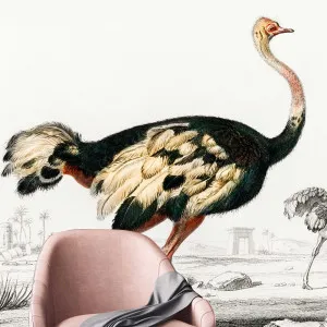 Shake Your Tail Feather Wallpaper by Florabelle Living, a Wallpaper for sale on Style Sourcebook