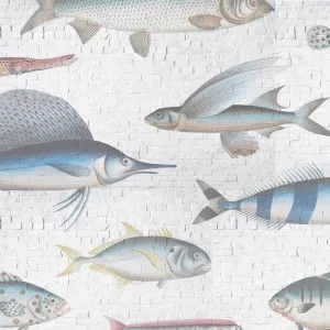Swimming Upstream Wallpaper by Florabelle Living, a Wallpaper for sale on Style Sourcebook