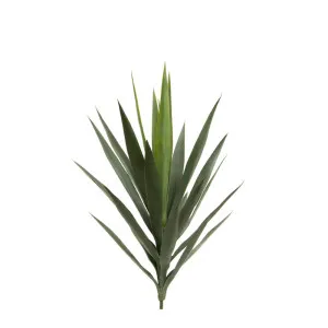 Yucca Head Green 64Cm by Florabelle Living, a Plants for sale on Style Sourcebook