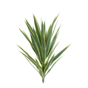 Yucca Head Green 78Cm by Florabelle Living, a Plants for sale on Style Sourcebook