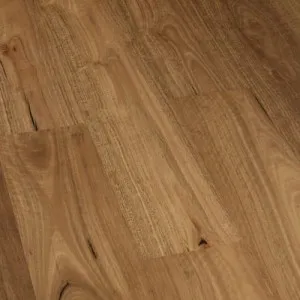 Gunyah Bush Spotted Gum Brushed Finish by Reside, a Engineered Floorboards for sale on Style Sourcebook