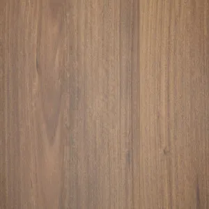 Mooloolaba Spotted Gum by Reside, a Laminate Flooring for sale on Style Sourcebook