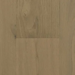 Forrest Ebony by the co.llective, a Engineered Floorboards for sale on Style Sourcebook