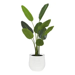 Bird of Paradise Ryker Planter Medium 107x150cm in Green/White by OzDesignFurniture, a Plants for sale on Style Sourcebook