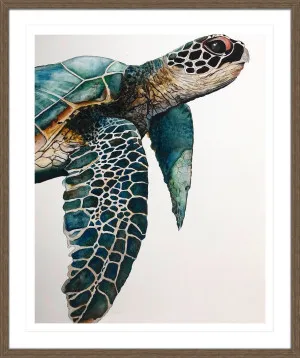 GREAT SEA TURTLE by La Grolla, a Prints for sale on Style Sourcebook