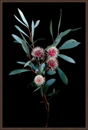 KODJET HAKEA FLOWERS 124x84cm by La Grolla, a Prints for sale on Style Sourcebook