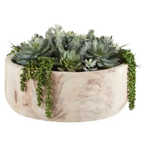 Rogue Handcrafted Artificial Succulent Garden in Dansk Bowl by Rogue, a Plants for sale on Style Sourcebook