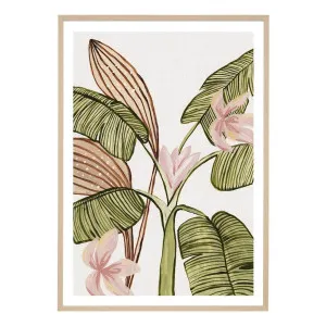 Tropical Blooms 1 Framed Print in 33 x 45cm by OzDesignFurniture, a Prints for sale on Style Sourcebook