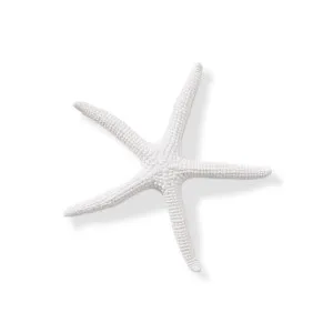 Starfish Sea Star - 11 x 11 x 11cm by Elme Living, a Statues & Ornaments for sale on Style Sourcebook