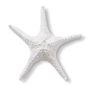 Starfish Bat Star - 32 x 32 x 7cm by Elme Living, a Decorative Accessories for sale on Style Sourcebook