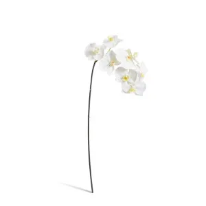 Phalaenopsis Orchid Stem - 20 x 8 x 95cm by Elme Living, a Plants for sale on Style Sourcebook