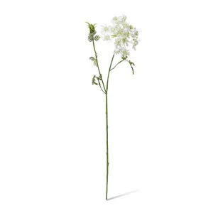 Lace Flower Stem - 14 x 9 x 74cm by Elme Living, a Plants for sale on Style Sourcebook