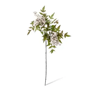 Pepper Berry Spray - 50 x 30 x 94cm by null, a Plants for sale on Style Sourcebook