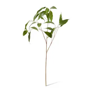 Eucalyptus Leaf Spray - 46 x 34 x 91cm by Elme Living, a Plants for sale on Style Sourcebook