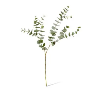 Eucalyptus Leaf Spray - 32 x 20 x 102cm by Elme Living, a Plants for sale on Style Sourcebook