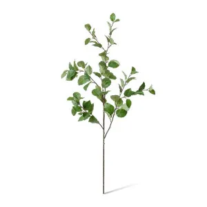 Elm Leaf Spray - 40 x 22 x 122cm by Elme Living, a Plants for sale on Style Sourcebook