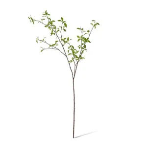 Pittosporum Leaf Branch - 46 x 24 x 142cm by Elme Living, a Plants for sale on Style Sourcebook