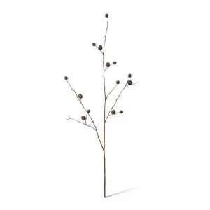 Berry Pod Dried Look Branch - 16 x 8 x 85cm by Elme Living, a Plants for sale on Style Sourcebook