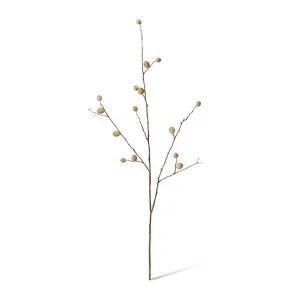 Berry Pod Dried Look Branch - 16 x 8 x 85cm by Elme Living, a Plants for sale on Style Sourcebook