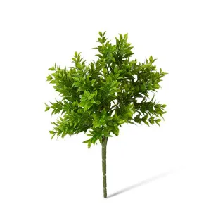 Tea Leaf Bush - 20 x 20 x 29cm by Elme Living, a Plants for sale on Style Sourcebook