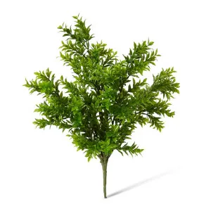 Tea Leaf Bush - 30 x 30 x 41cm by Elme Living, a Plants for sale on Style Sourcebook