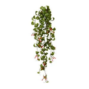 Indian Hoya Hanging Bush - 30 x 25 x 79cm by Elme Living, a Plants for sale on Style Sourcebook