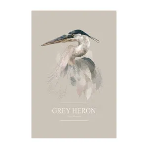 Grey Heron , By Gabriella Roberg by Gioia Wall Art, a Prints for sale on Style Sourcebook