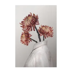 In Bloom , By Gabriella Roberg by Gioia Wall Art, a Prints for sale on Style Sourcebook