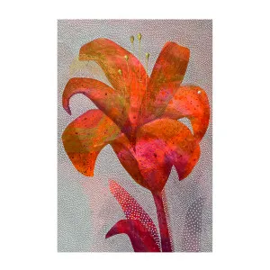 Orange Lily by Gioia Wall Art, a Prints for sale on Style Sourcebook