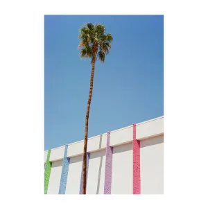 Palm Springs II , By Bethany Young by Gioia Wall Art, a Prints for sale on Style Sourcebook