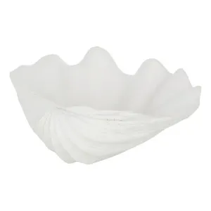 Clam Shell Bowl 18.5x7cm in White by OzDesignFurniture, a Decorative Plates & Bowls for sale on Style Sourcebook