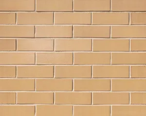 Vogue Collection - Crema by Austral Bricks, a Bricks for sale on Style Sourcebook