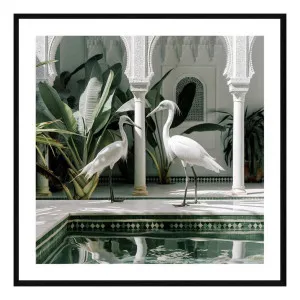 Azou Framed Print in 60 x 60cm by OzDesignFurniture, a Prints for sale on Style Sourcebook