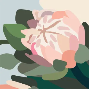 blush III by Kimmy Hogan, a Prints for sale on Style Sourcebook