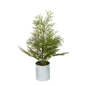 Potted Pine Tree In Tin Small by Florabelle Living, a Plants for sale on Style Sourcebook