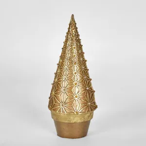 Shrabi Cone Tree Sml by Florabelle Living, a Plants for sale on Style Sourcebook