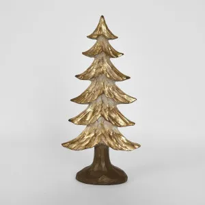 Golden Fir Tree Small by Florabelle Living, a Plants for sale on Style Sourcebook