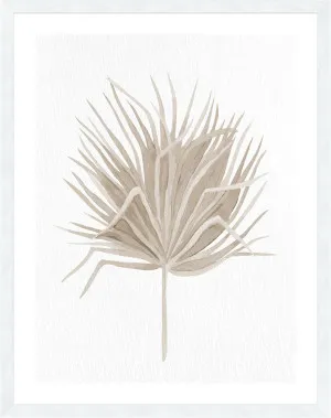 DRIED I - 76x61cm by La Grolla, a Prints for sale on Style Sourcebook