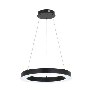 Black Medine Mercator Ring LED Pendant Light Small by Mercator, a Pendant Lighting for sale on Style Sourcebook