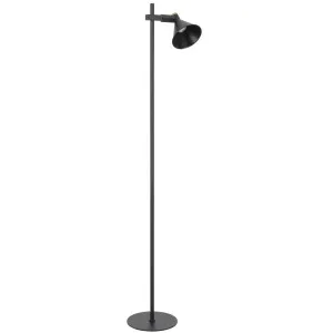 Telbix Rosner Floor Lamp Black by Telbix, a Floor Lamps for sale on Style Sourcebook