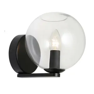 Cougar Orpheus Glass Wall Light (E14) Black by Cougar, a Wall Lighting for sale on Style Sourcebook