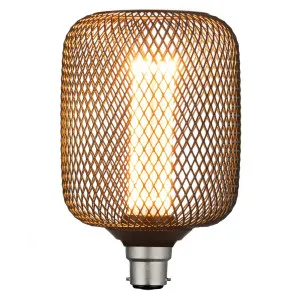 Mercator LED B22 Decorative Vintage Globe Cylinder by Mercator, a LED Lighting for sale on Style Sourcebook