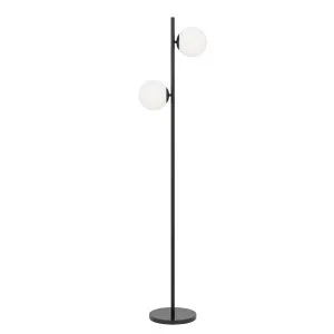 Telbix Figaro 2 Light Floor Lamp (E27) Black by Telbix, a Floor Lamps for sale on Style Sourcebook