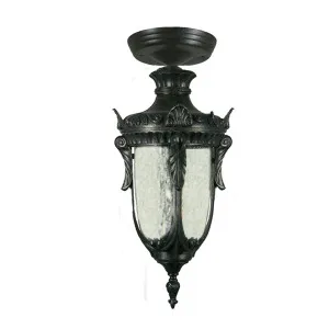 Lode Wellington Antique Black Under Eave Light IP44 Small by Lode International, a Outdoor Lighting for sale on Style Sourcebook