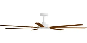 Calibo Alula 80" (2032mm) 7 Blade Indoor/Outdoor DC Ceiling Fan & Remote White & Koa by Calibo, a Ceiling Fans for sale on Style Sourcebook