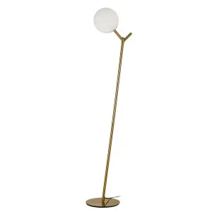 Telbix Ohh Floor Lamp (E27) Gold by Telbix, a Floor Lamps for sale on Style Sourcebook